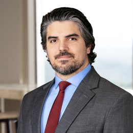 Gabriel Canto, Partner