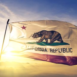 California federal court rejects property owner’s bid for first-party coverage under its construction manager’s CGL policy