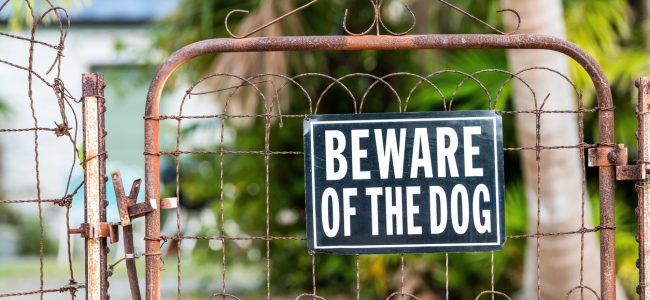 dog bite; beware of dog sign